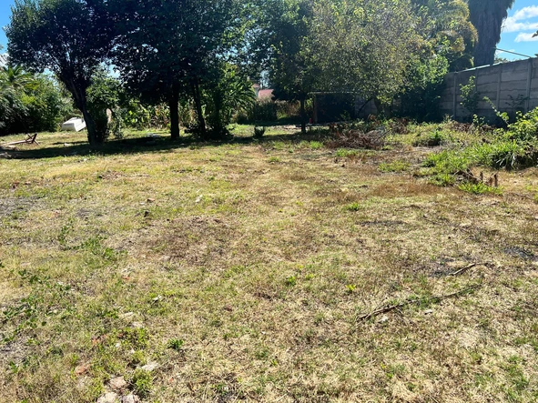 Stands & Residential Land