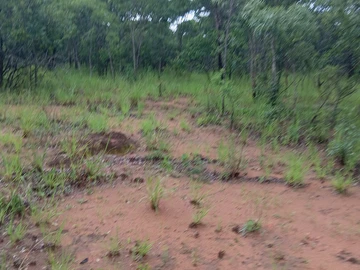 Farm & Agricultural Land