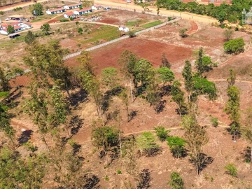 Commercial & Industrial Land