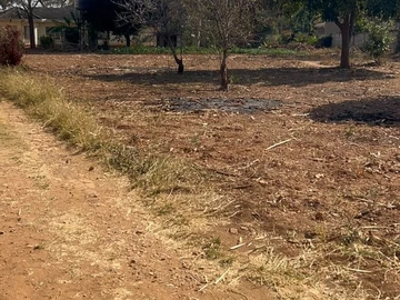 Stands & Residential Land