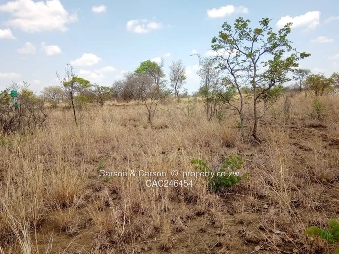 Plots for sale 