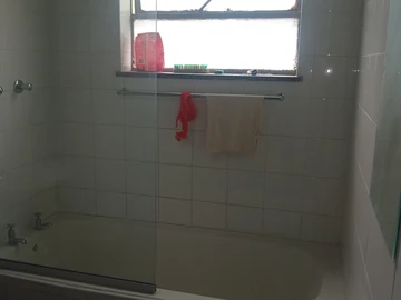 Flat & Apartment
