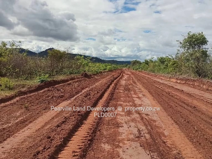 Stands 5km from pa Nyika, just near Pambudzi. 