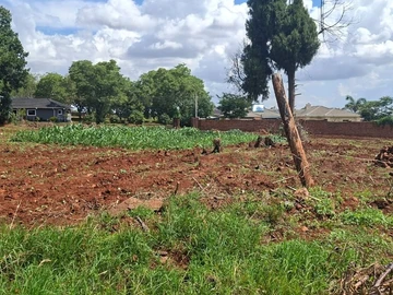 Stands & Residential Land