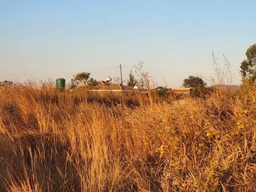 Stands & Residential Land