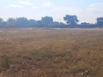 Farm & Agricultural Land