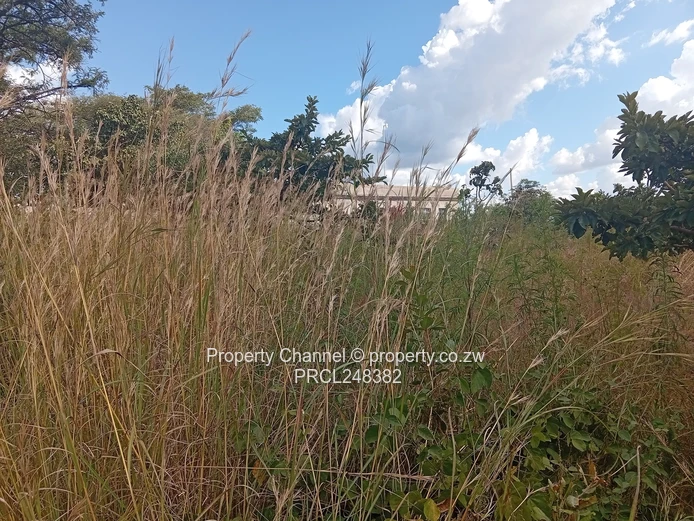 Vacant 1,000m² Stand in Crowhill Borrowdale, Harare
