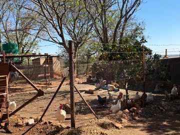 Farm & Agricultural Land