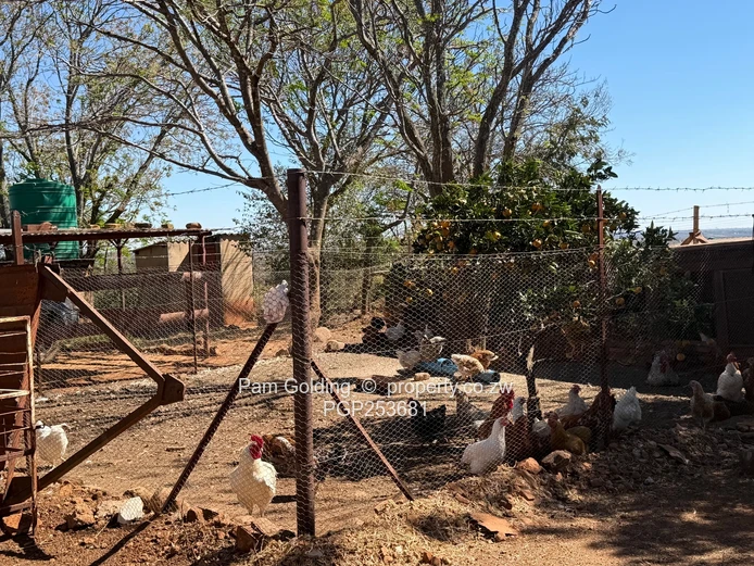 Prime 4.2-Acre Plot for Sale in Kensington, Bulawayo