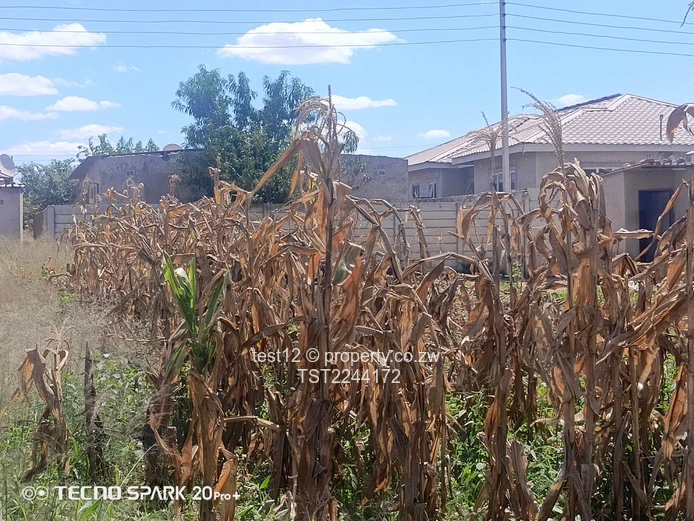 Budiriro stand for sale  (Sole Mandate)