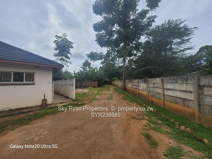 BORROWDALE  - SAM LEVY for sale 