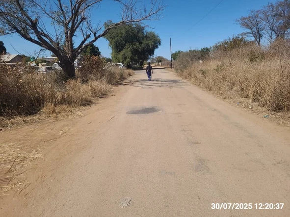 Stands & Residential Land