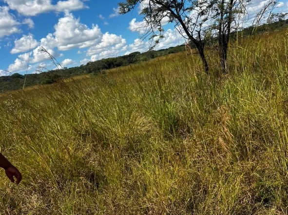 Farm & Agricultural Land