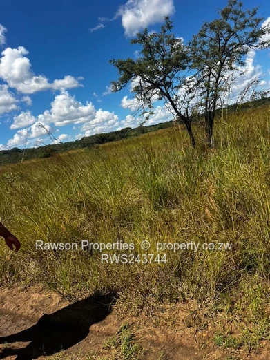 Gutu farm for sale 