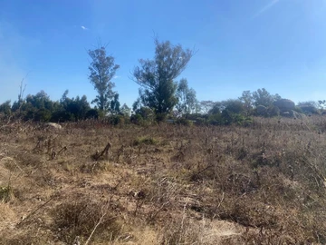 Commercial & Industrial Land