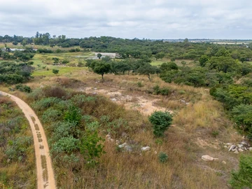 Farm & Agricultural Land