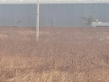 Commercial & Industrial Land