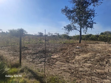 Farm & Agricultural Land