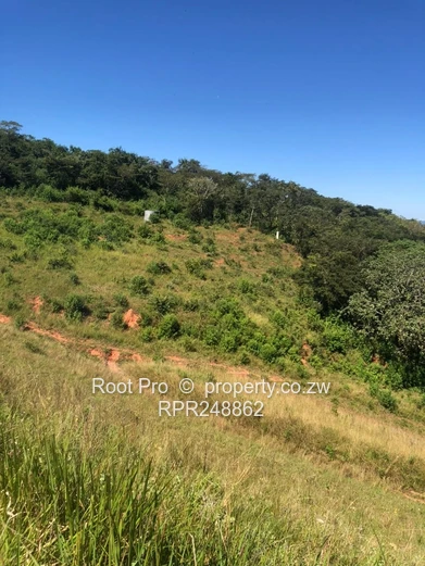 Chipinge Agricultural Farm For Sale With A Dam