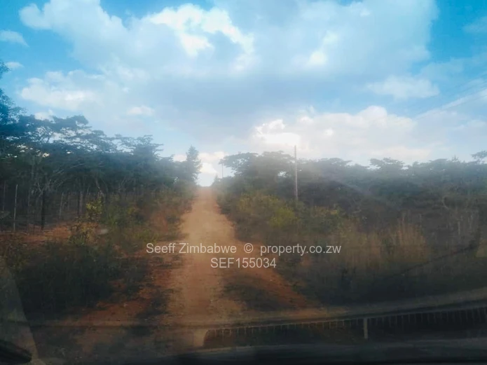 Experience The Nyanga Lifestyle, In Nature's Luxury