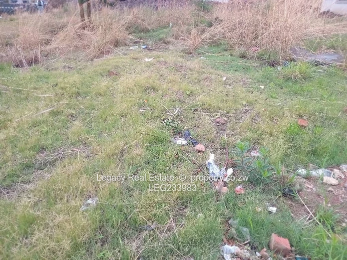  Ready to Build Stand in Cold Comfort. 