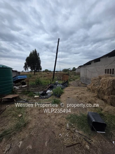 An opportunity not to miss