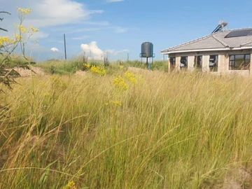 Stands & Residential Land