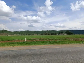 Farm & Agricultural Land