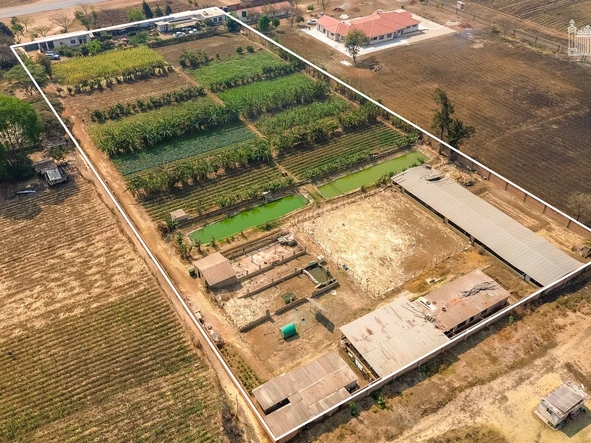 Farm & Agricultural Land