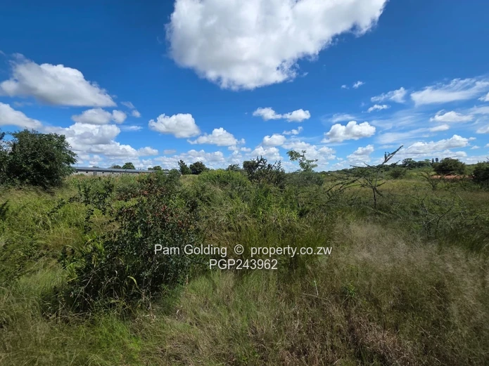 Farm/Plot for Sale in Kensington Bulawayo (Sole Mandate)