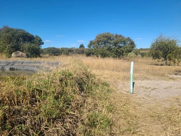 Farm & Agricultural Land