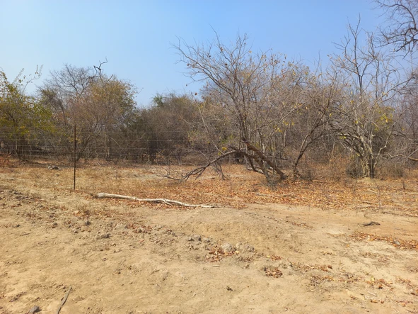 Farm & Agricultural Land