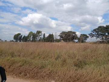 Prime Industrial Land For sale in Reinham 