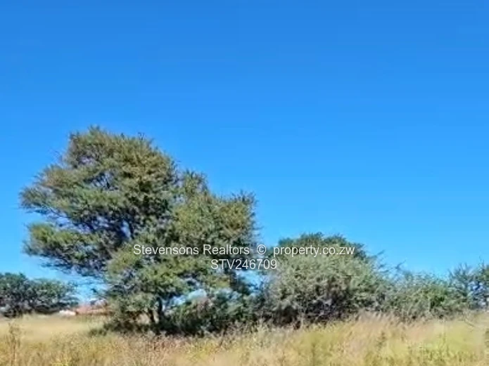 4000sqm stand for Sale in Killarney Bulawayo (Sole Mandate)