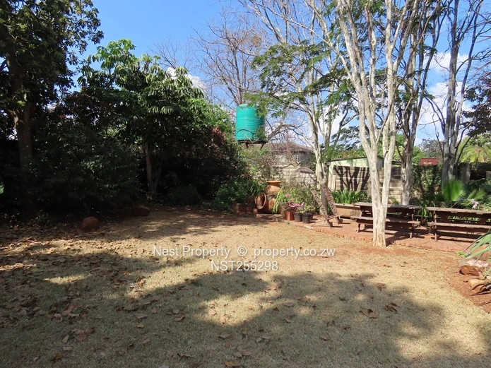 Position and Potential in Alexandra Park!