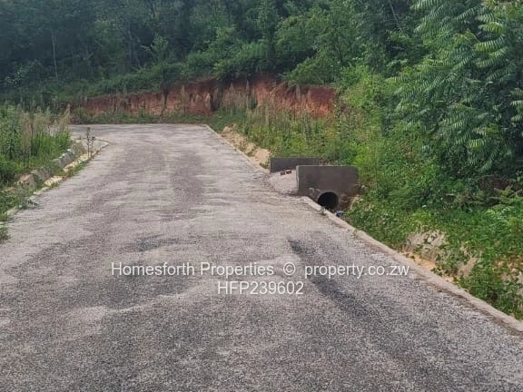 Great Opportunity!!!