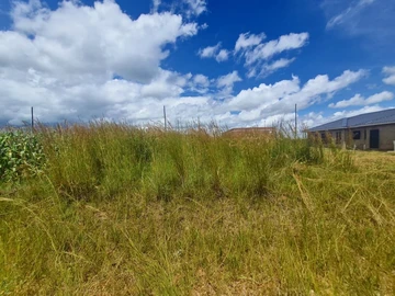 Stands & Residential Land