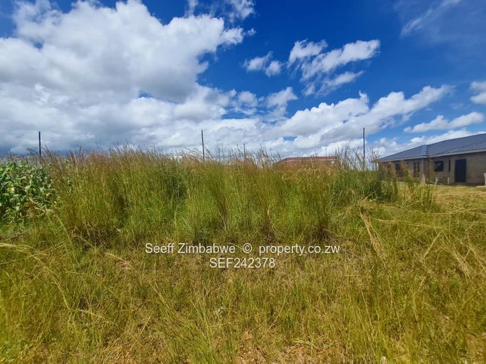 300m² Stand in Nyabira — Level Plot, Road & Power (Sole Mandate)