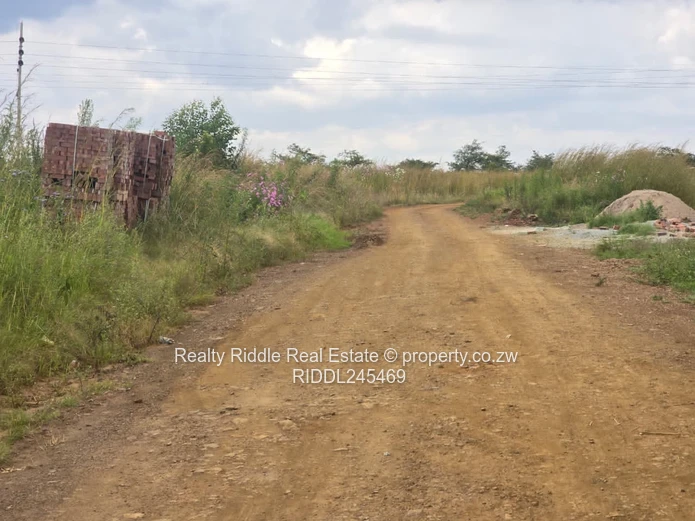 1000m² Westgate Stand — Gravel Road