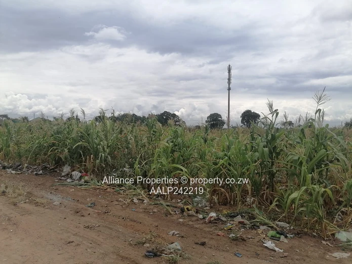 Stand for Sale – Mainway Meadows