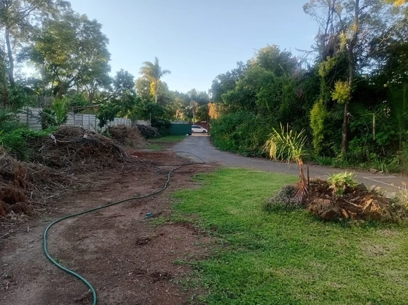 Stands & Residential Land