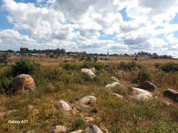 Commercial & Industrial Land