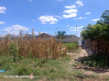 Stands & Residential Land