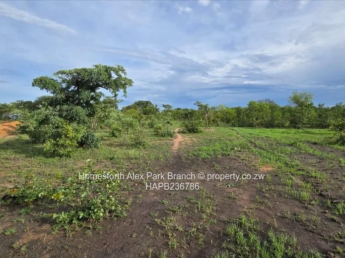 Kadoma Clonmoran Agro-Residential  or Commercial Plots