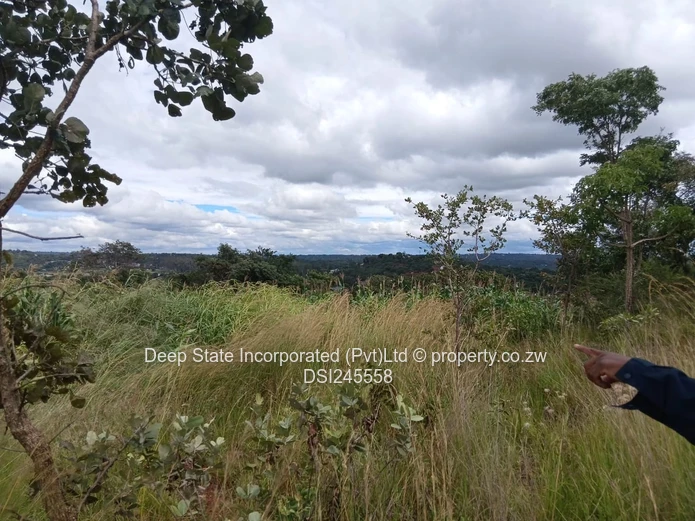 Chishawa Hills stand for sale 