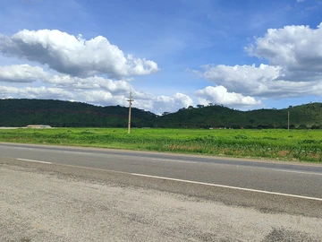 Farm & Agricultural Land