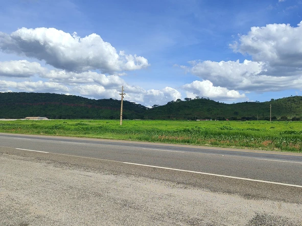 Farm & Agricultural Land