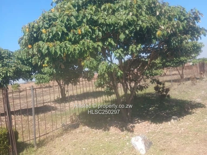 Gated 3,200 m² Stand in Pomona