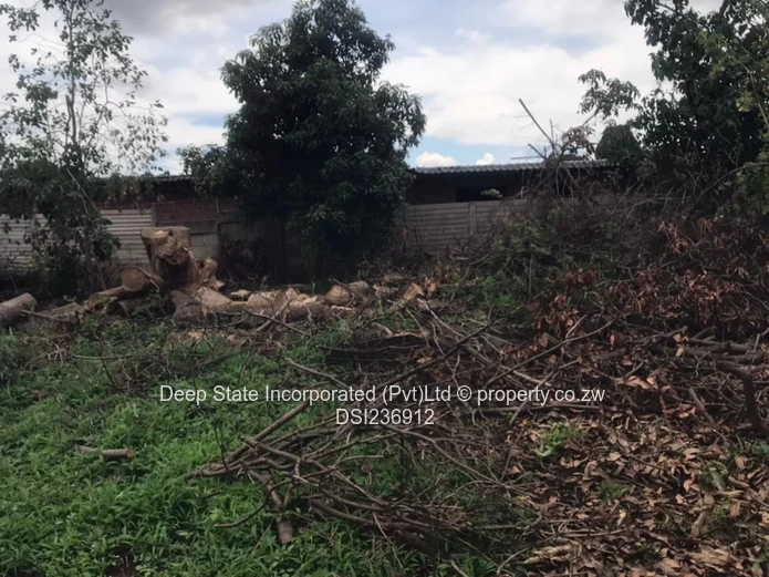 Belvedere house for sale 