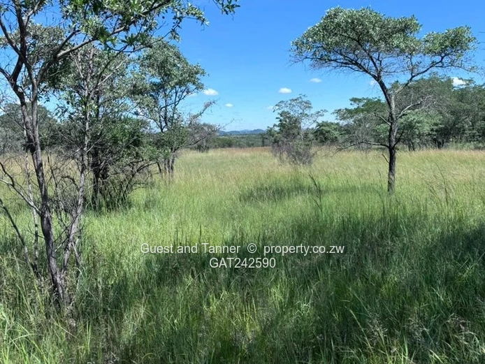 Masvingo Highway Land for Sale – 10ha Perfect for Plaza, Truck Inn or School